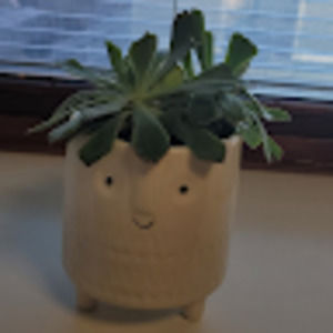 Meet your Posher, Cynthia